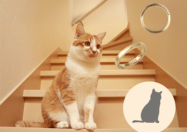 ペットを想うジュエリーのご相談が増えています